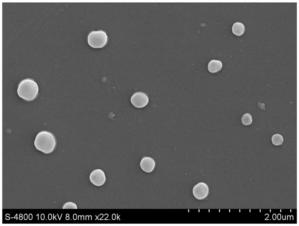 PH-GSH dual-responsiveness nano curcumin prodrug loading system