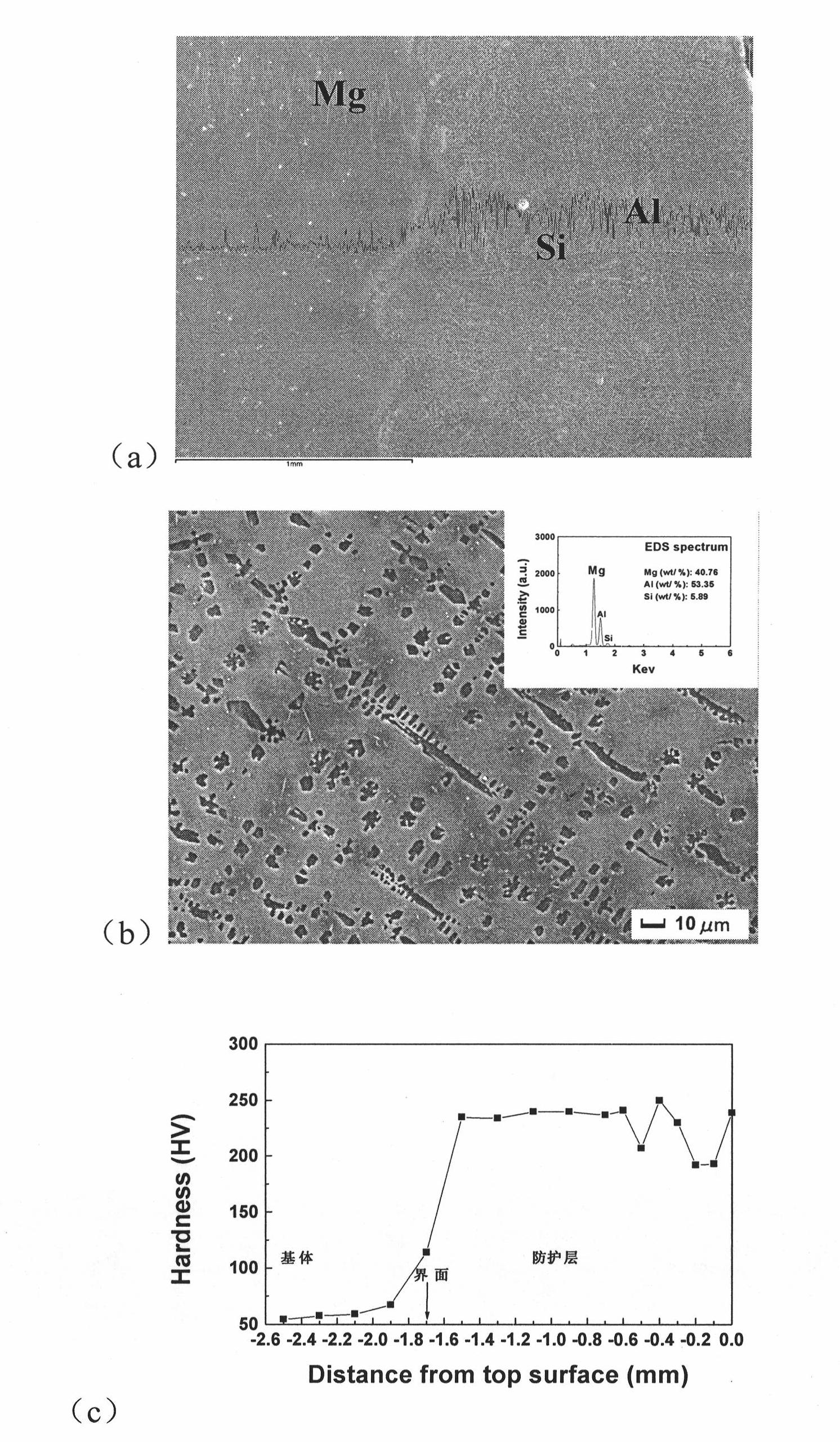 Process for preparing compact thick protection layers on magnesium alloy surfaces