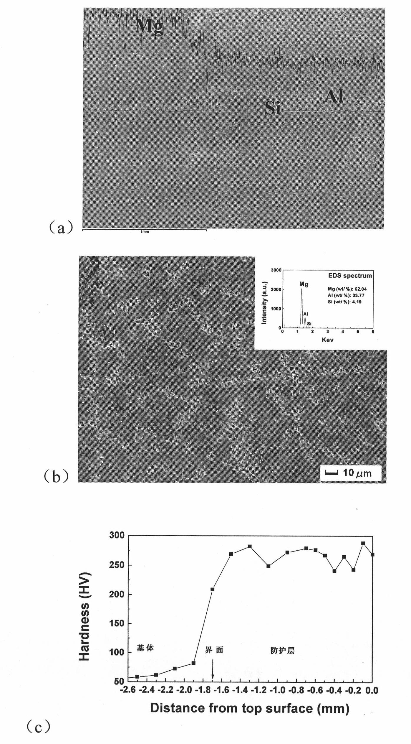 Process for preparing compact thick protection layers on magnesium alloy surfaces