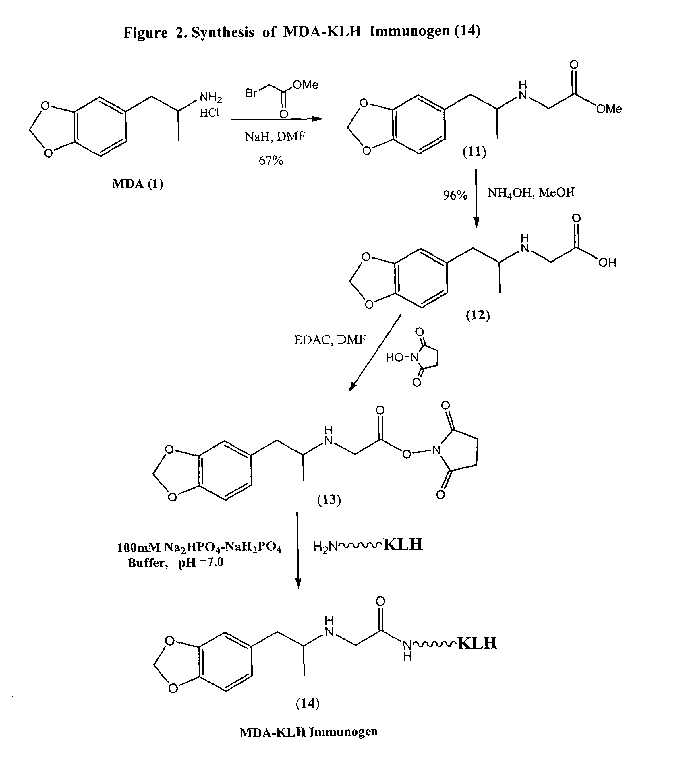 Assay for entactogens