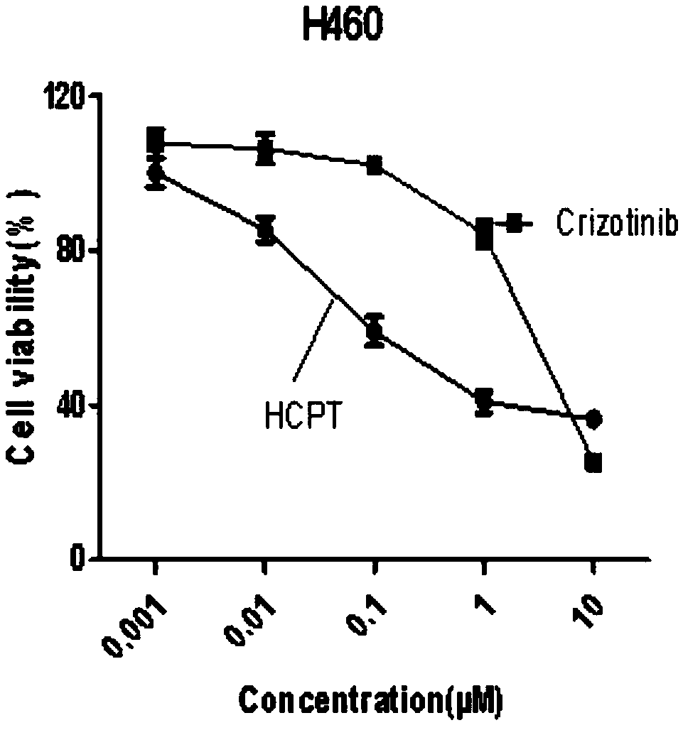 Cancer compound 10-hydroxycamptothecine and crizotinib for treating lung cancer and application