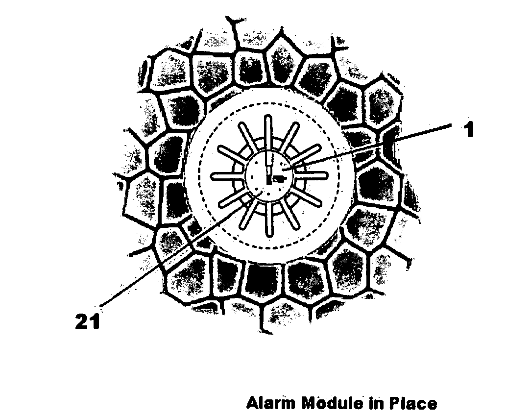 Digital Disc Alarm