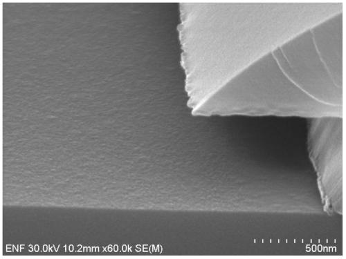 Etching solution composition for copper and molybdenum containing film