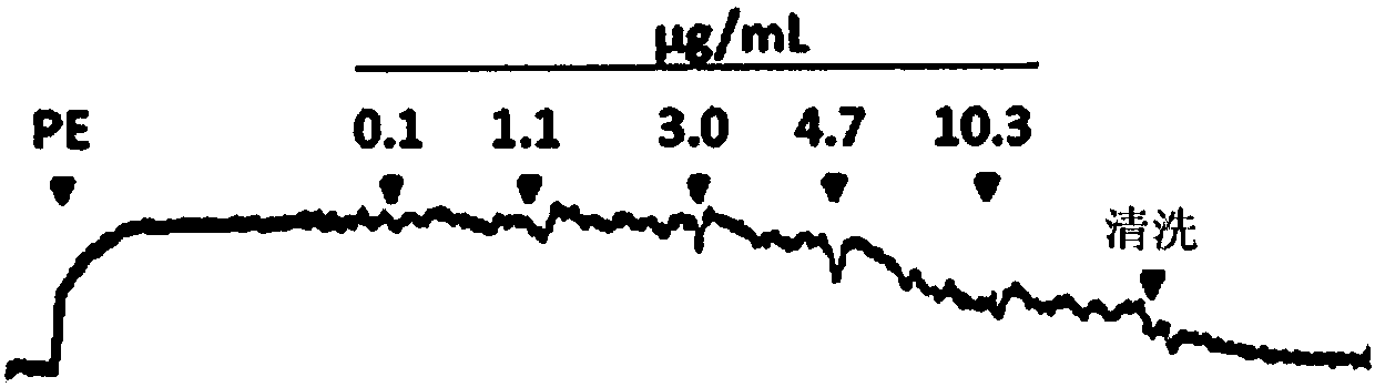 Yeast extract having vasorelaxing effect