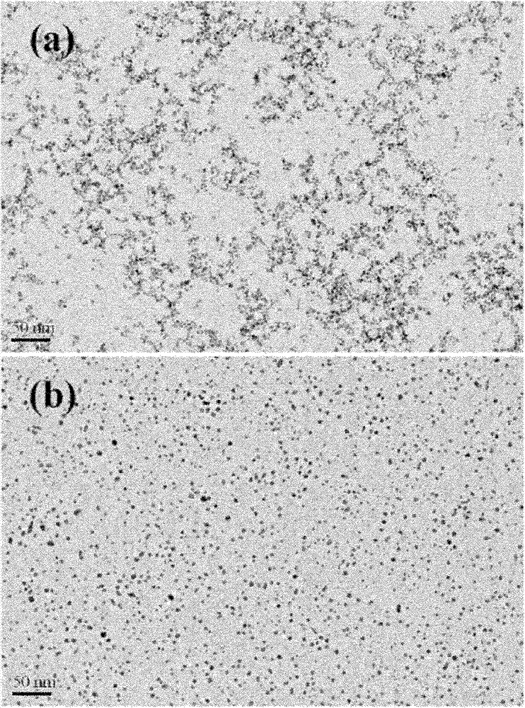 Preparation of dendrimer/ gold-silver alloy nanoparticle with computed tomography (CT) radiography function