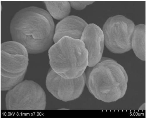 Preparation method for metal molybdate micro-nano structure powder
