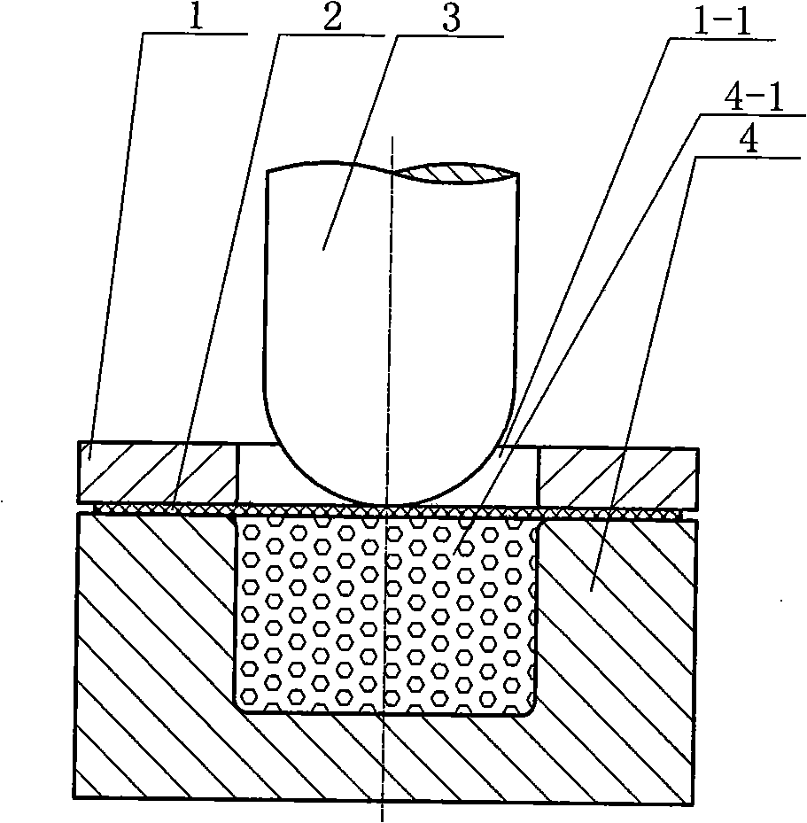 Metal processing and molding method for reducing plastic resilience