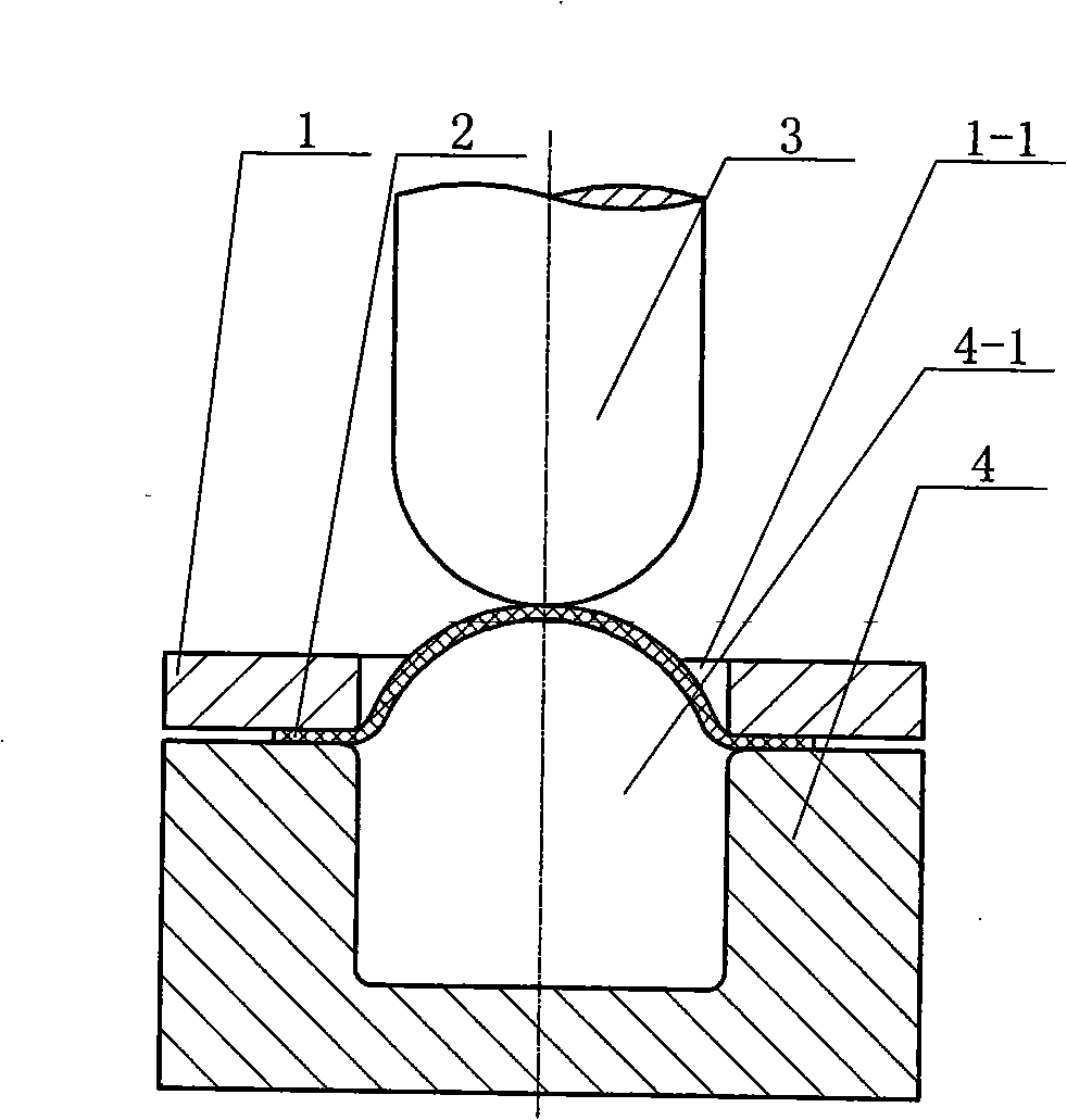 Metal processing and molding method for reducing plastic resilience