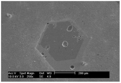 A seed treatment method for growing high-quality silicon carbide crystals