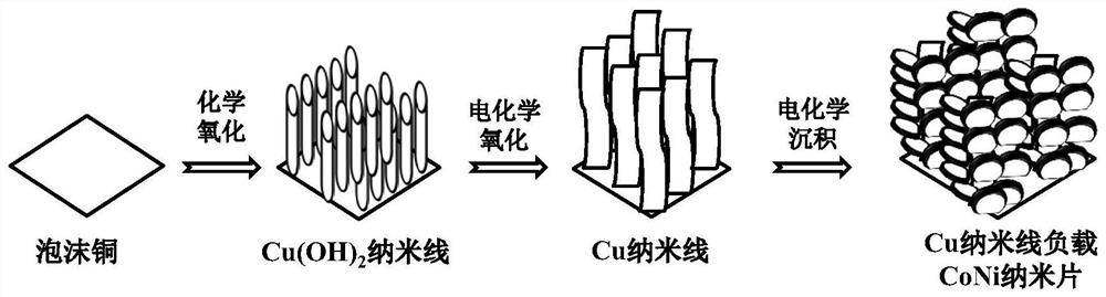 Copper nanowire loaded CoNi nanosheet electrocatalyst as well as preparation method and application thereof