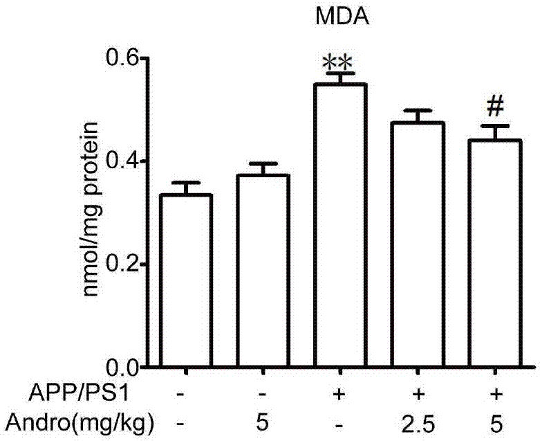 Application of Xiyanping injection for preparation of drugs for treating and/or preventing neurodegenerative disease