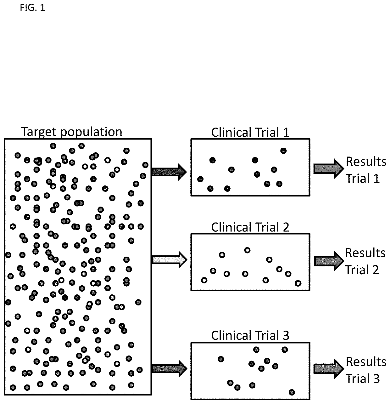 System and method of conducting in silico clinical trials