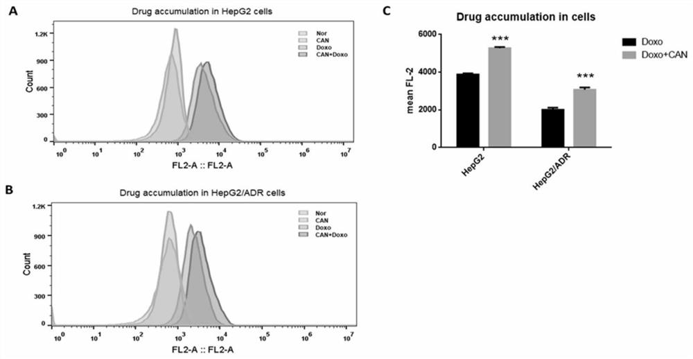 Application of SGLT2 inhibitor to preparation of product for improving sensitivity of antitumor drug