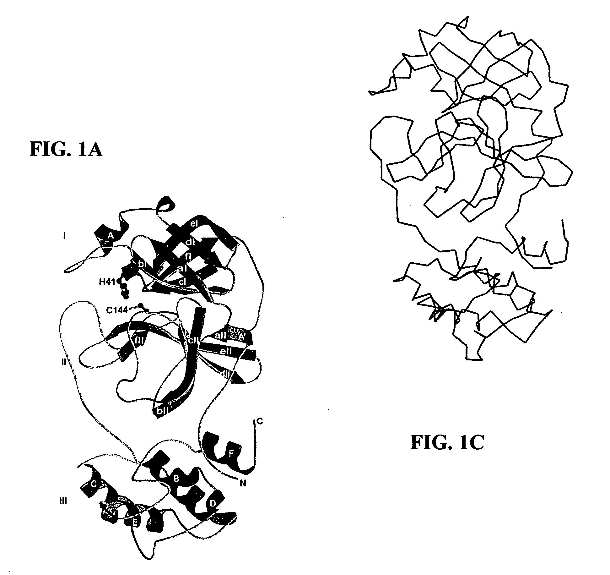 Crystal structure of human coronavirus 229E main proteinase and uses for developing SARS inhibitors