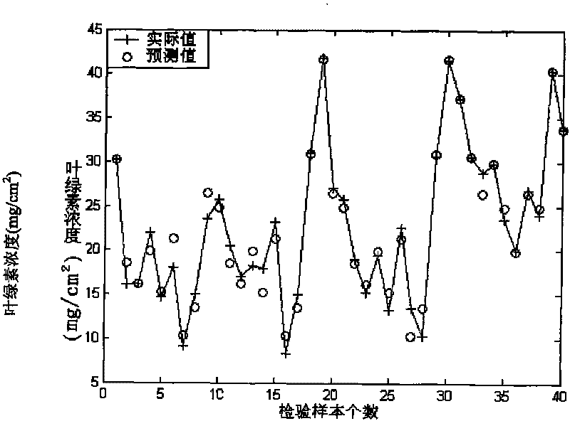 Remote sensing measurement method for level of crops pollution stress