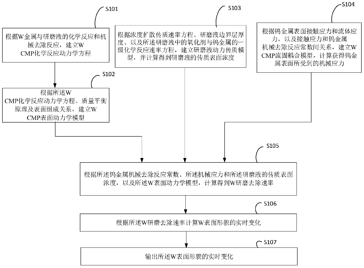 A kind of W CMP multi-physics process simulation method and system