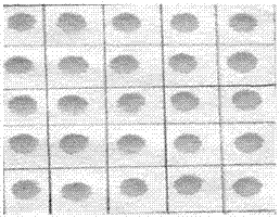 A test paper film based on nano gold and its method for detecting lead ions