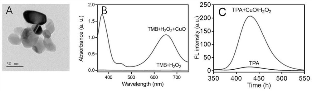 DNA-functionalized copper oxide nanozyme, preparation method and application thereof