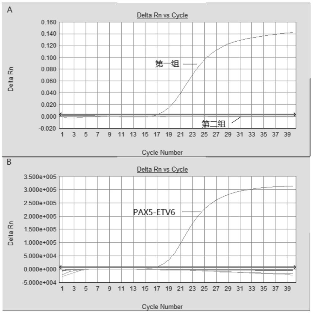 Primers, probes, compositions and methods for screening and identifying pax5 rearrangement-related fusion genes using fluorescent PCR technology