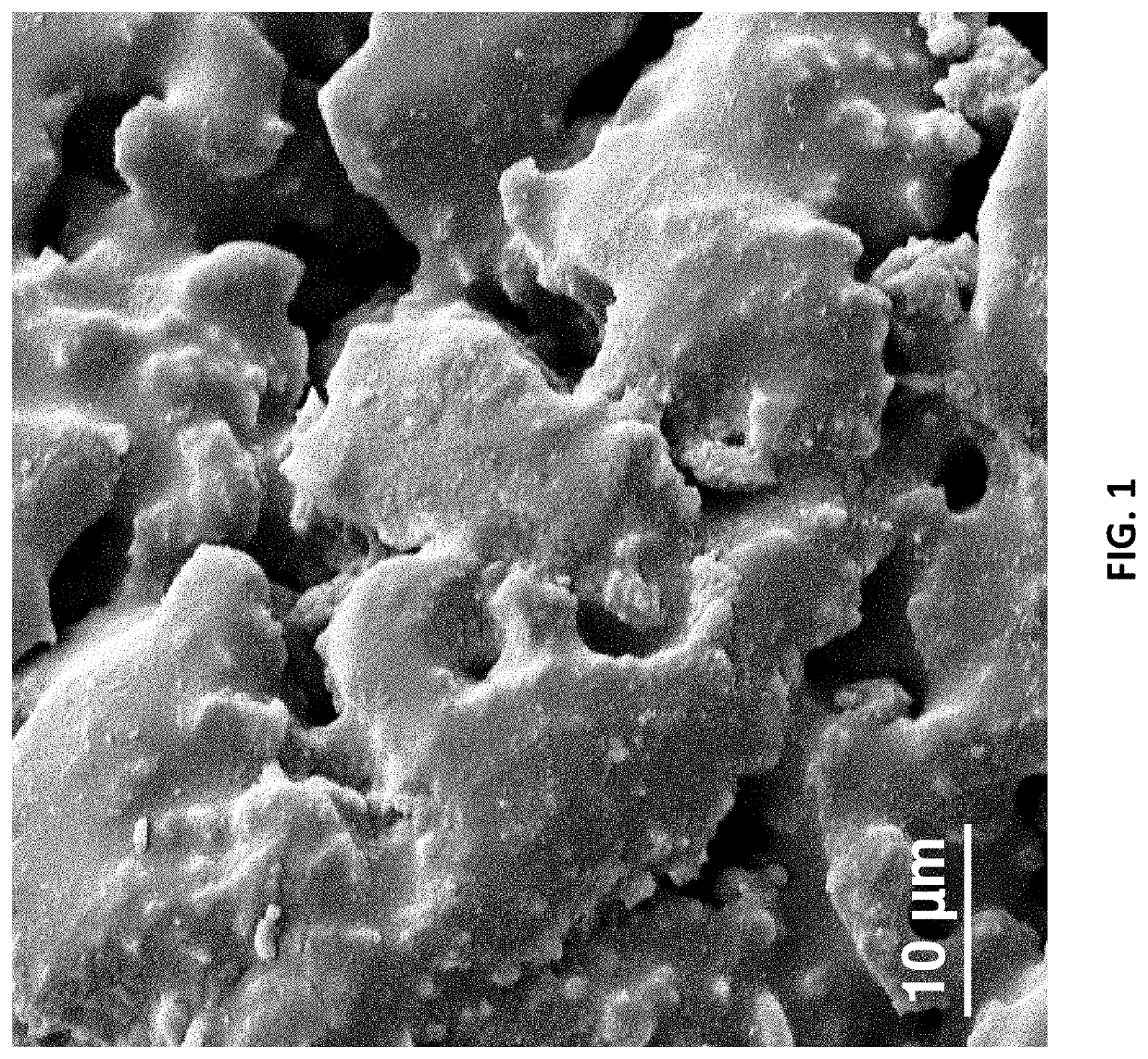 Porous Epoxy Nanocomposite Monoliths