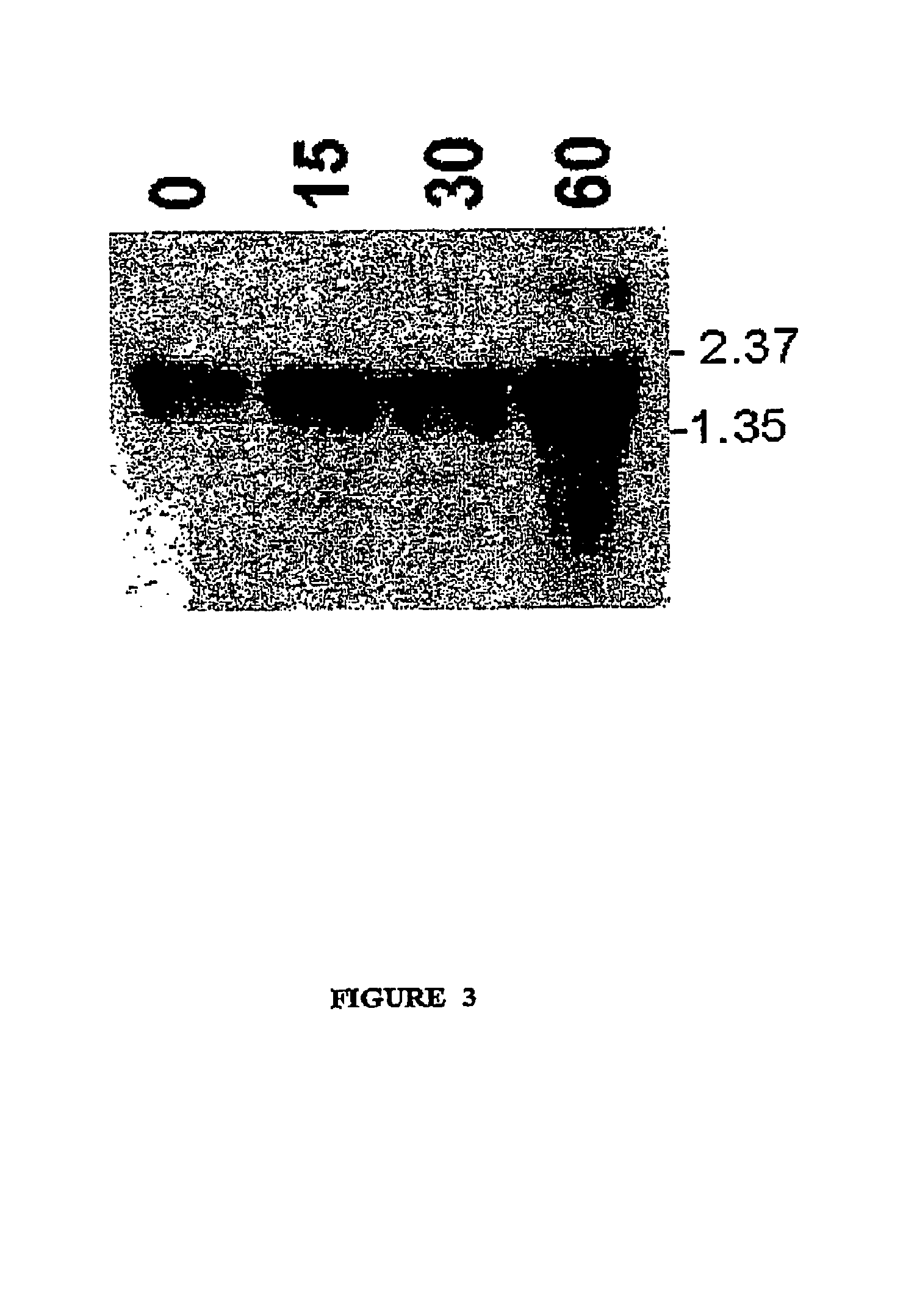 Hydroperoxide Lyase regulator region