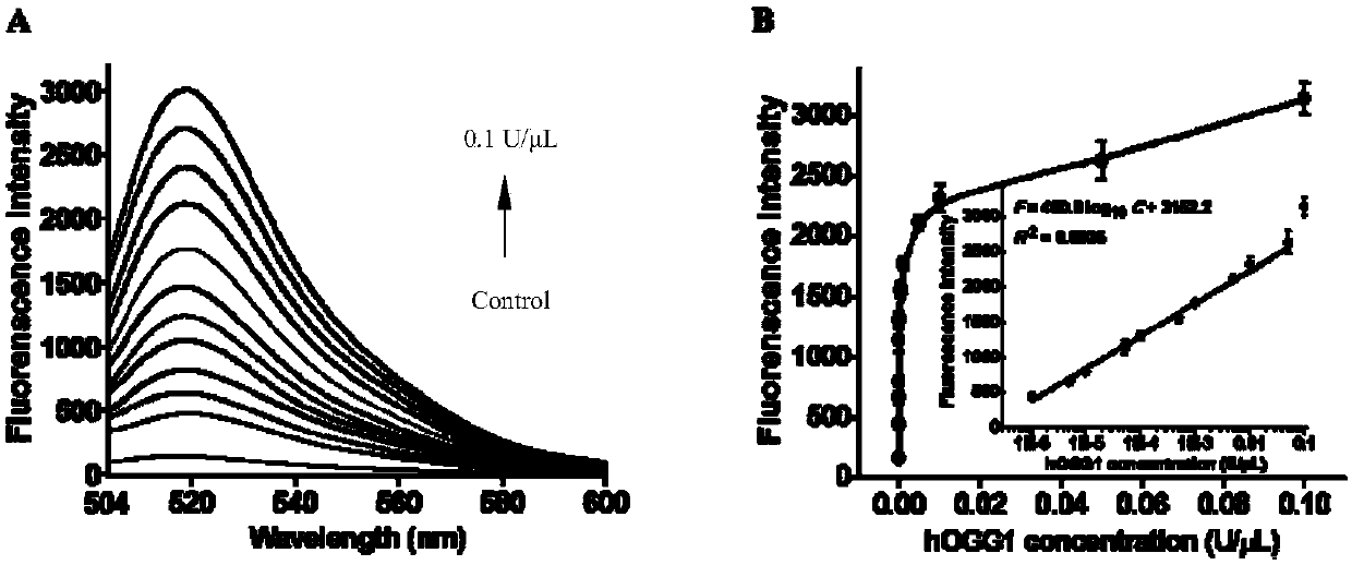 Method for detecting human 8-hydroxyl guanine DNA glycosylase activity through circular signal amplification based on autocatalytic replication mediation