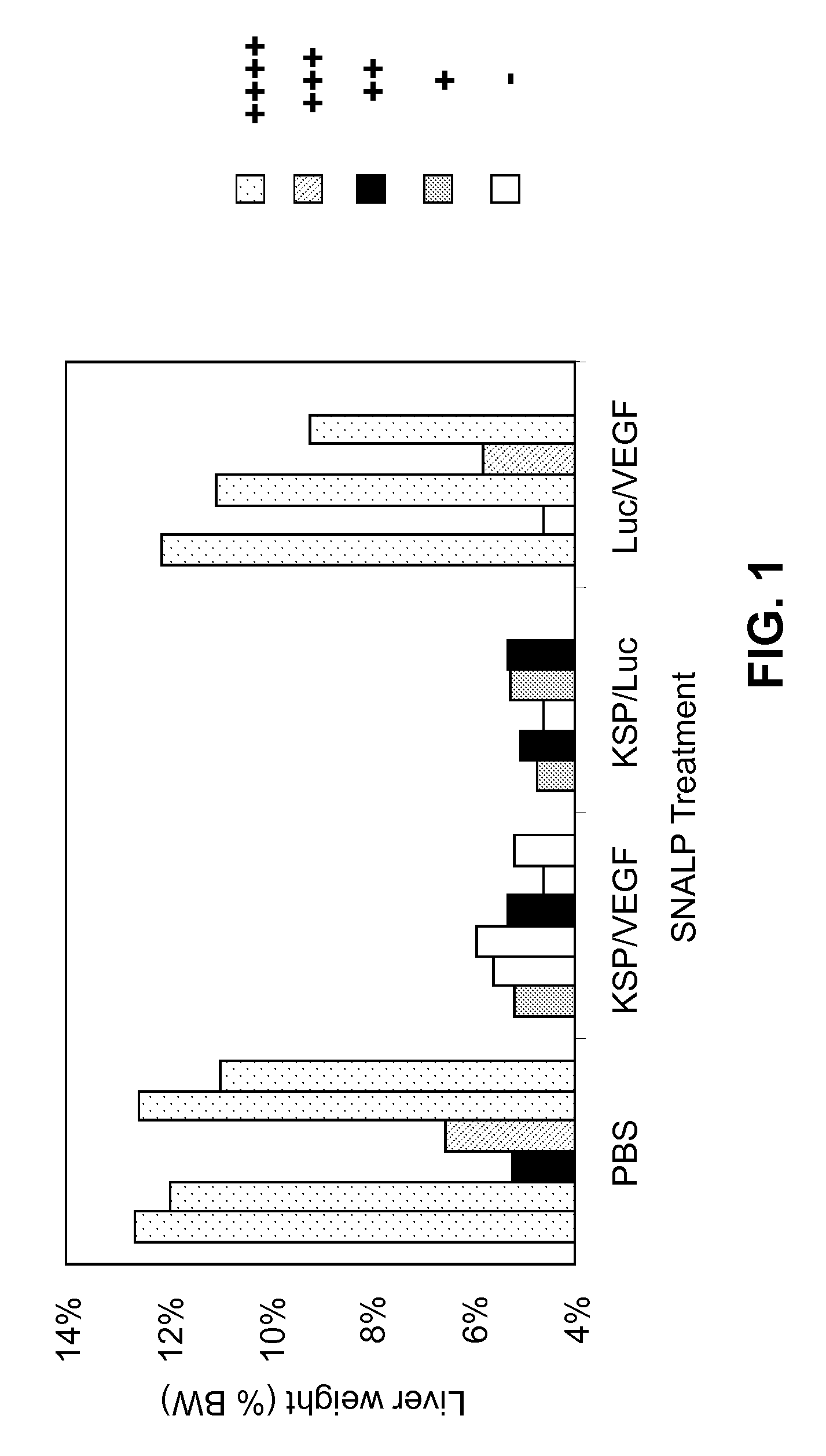 Lipid formulated compositions and methods for inhibiting expression of Eg5 and VEGF genes