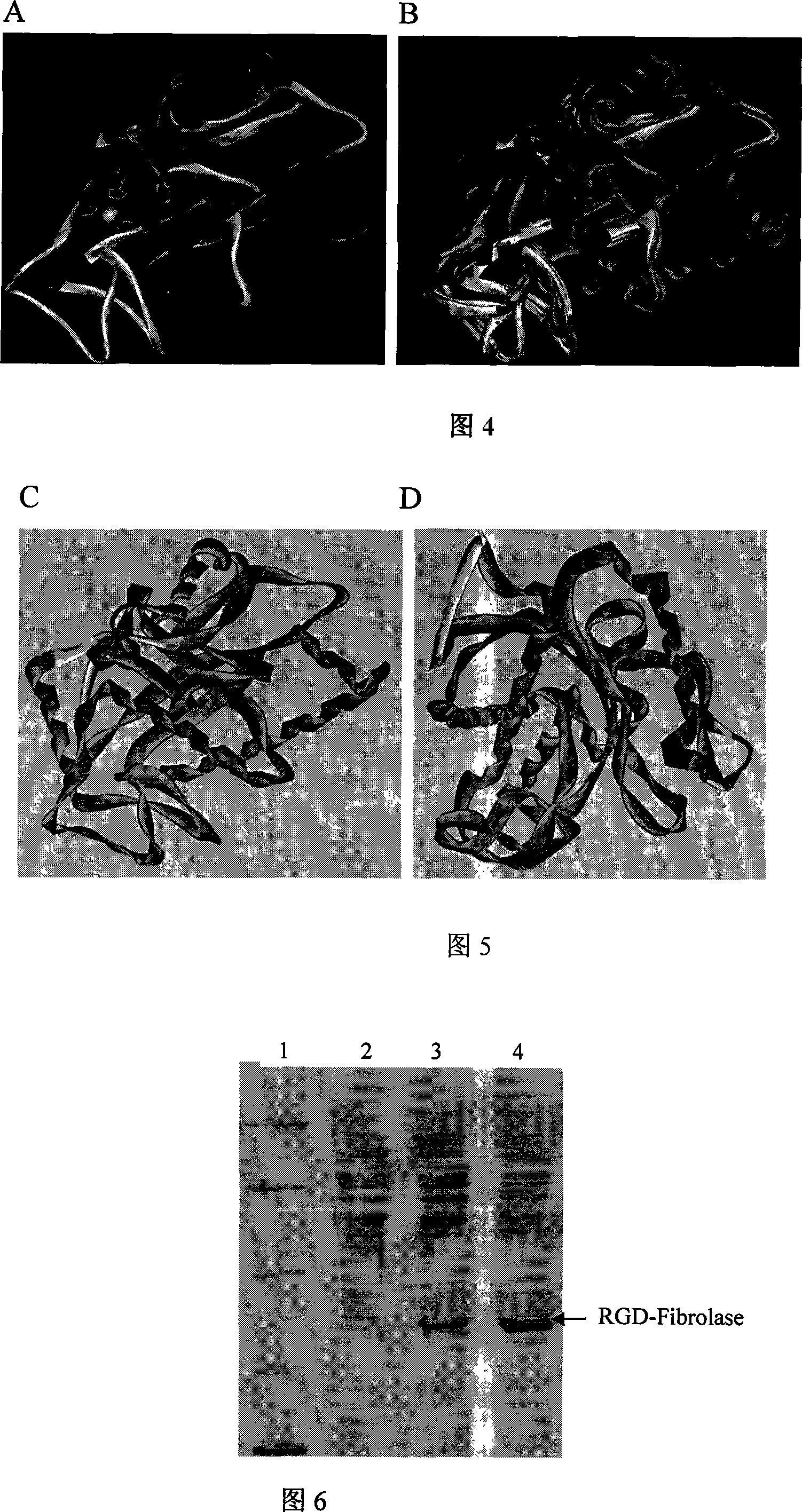 Double-functional molecule for dissolving thrombus and inhibiting blood platelet aggregate and use thereof