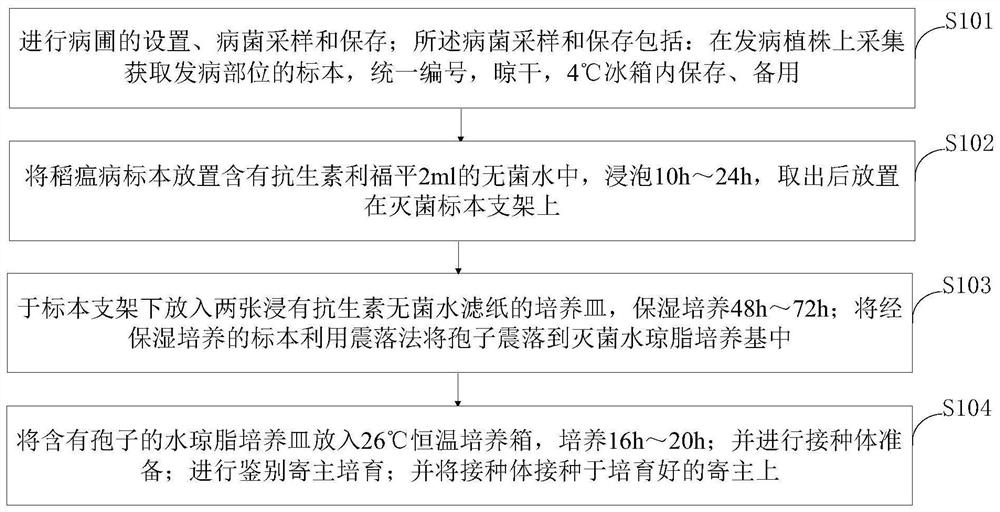 Intelligent rice blast germ spore separation and preservation system and method