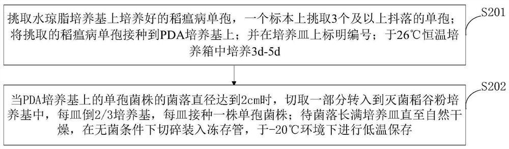 Intelligent rice blast germ spore separation and preservation system and method