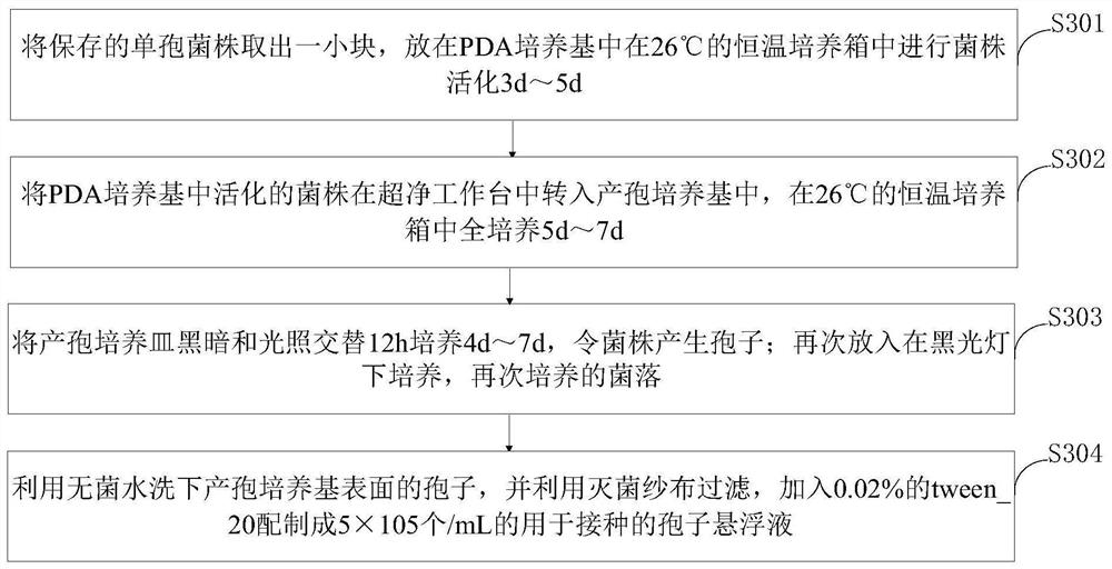 Intelligent rice blast germ spore separation and preservation system and method