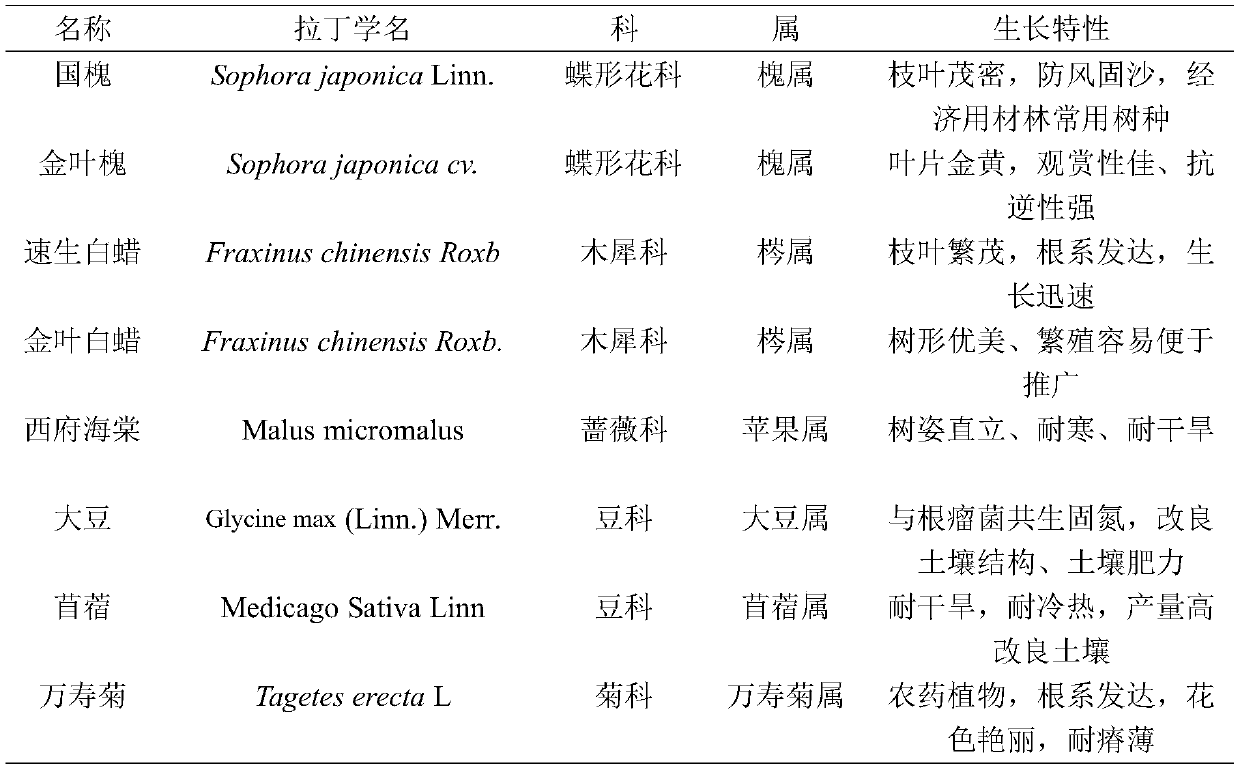 Method for testing tree-grass combination mode based on allelopathy