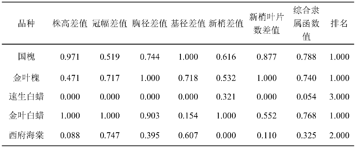 Method for testing tree-grass combination mode based on allelopathy