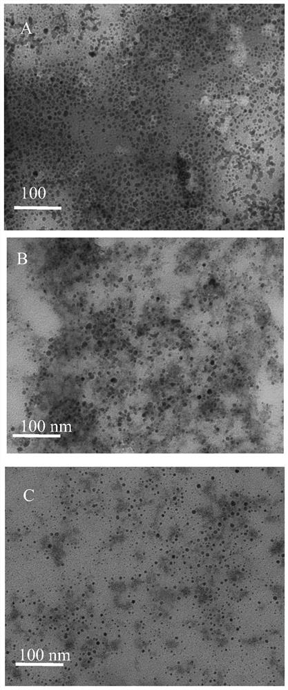 A kind of nisin peptide nanoparticle and its preparation method and application