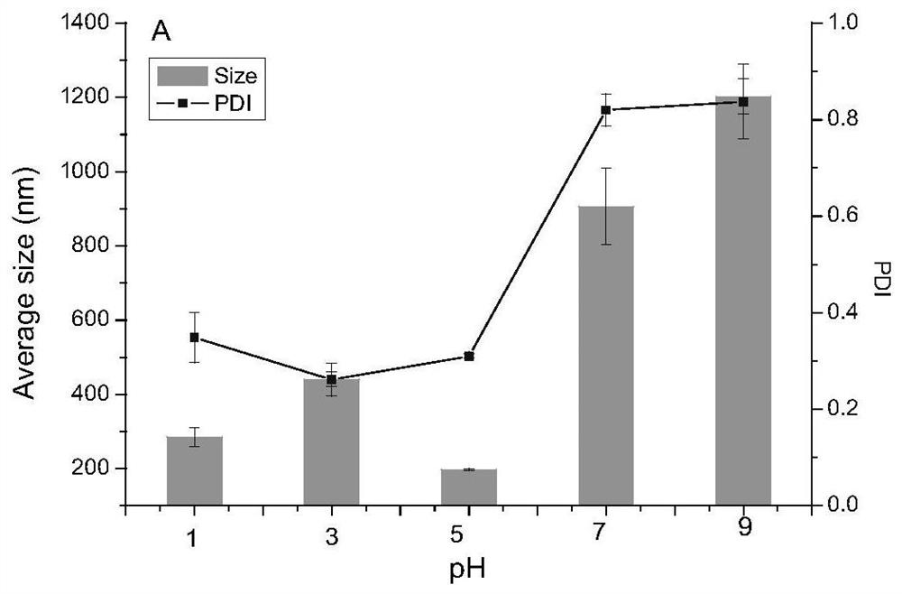 A kind of nisin peptide nanoparticle and its preparation method and application