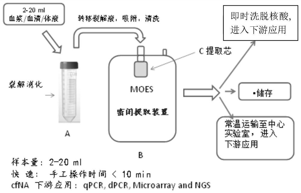 Method for high-throughput extraction of trace nucleic acid for large-volume mixed swab sample detection