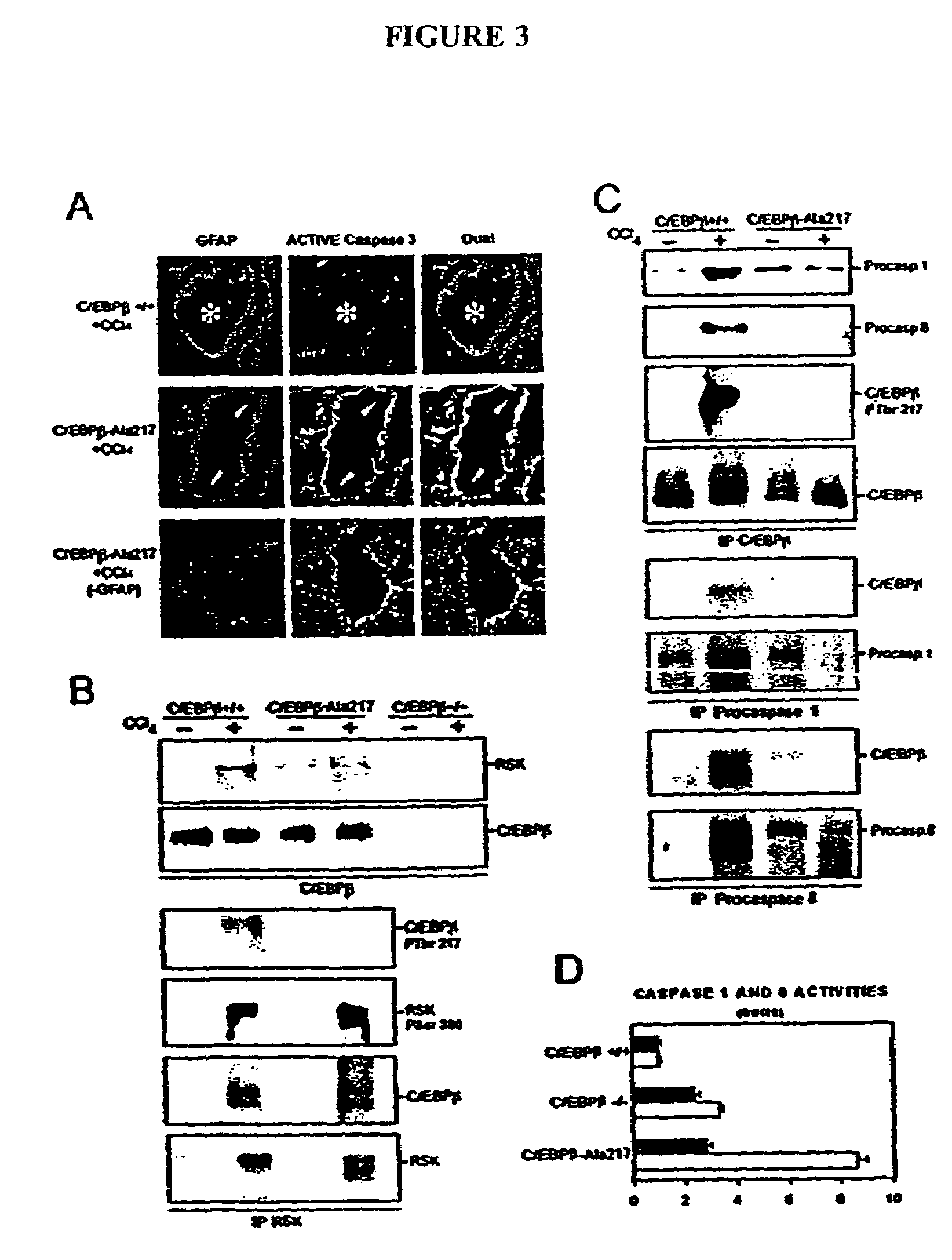 Treatment of disease by inducing cell apoptosis