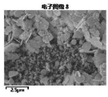 Desorption method based on adsorption of calcined bone apatite to heavy metal ions