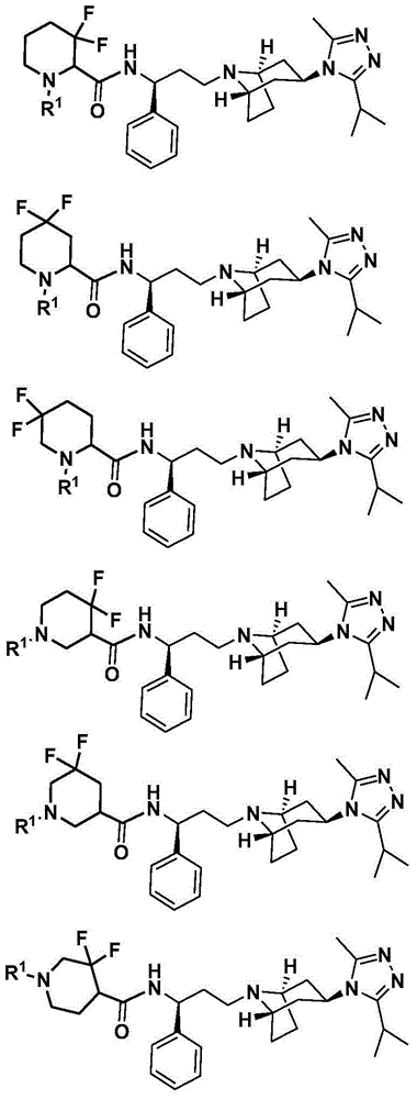 Difluoro methylene piperidine carboxamide derivative as well as preparation method and application thereof