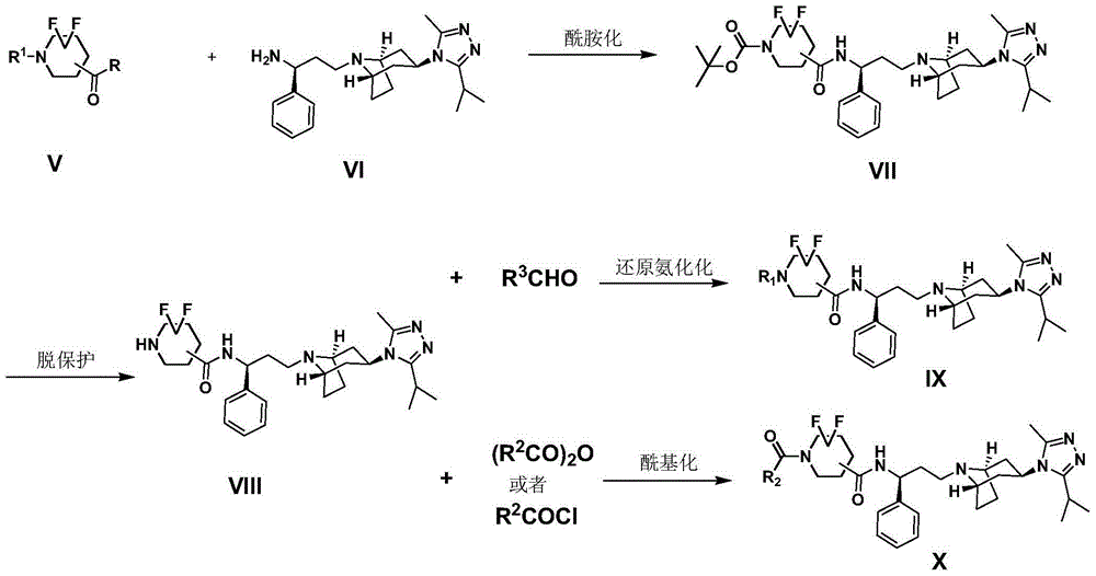 Difluoro methylene piperidine carboxamide derivative as well as preparation method and application thereof