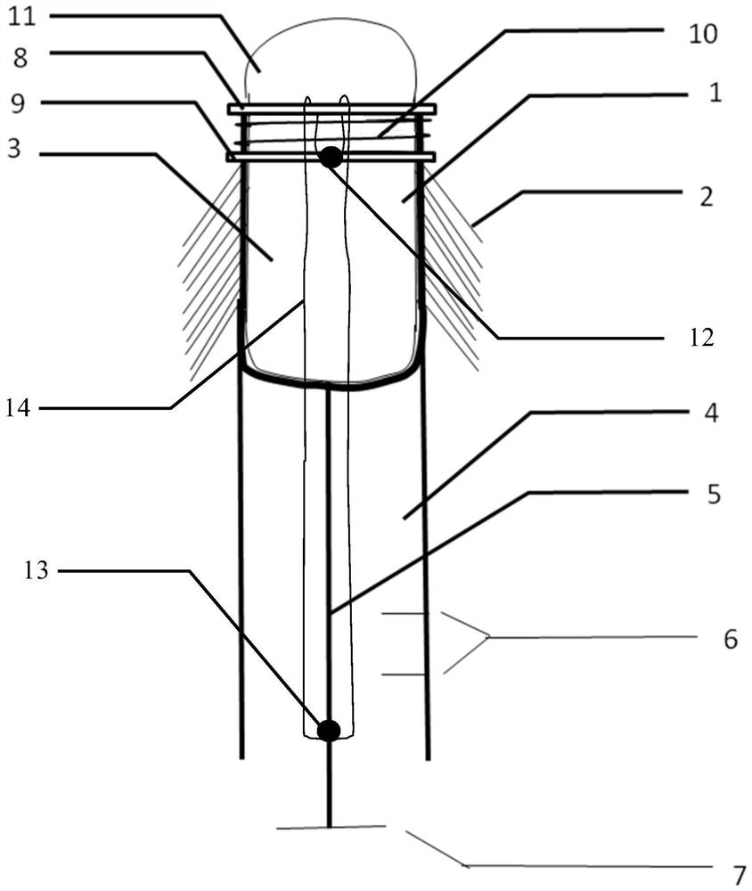 A device for reverse colon inspection with magnet and "maimang" bionic combined power descending