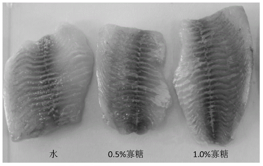 Tilapia fillet antistaling agent and utilization method thereof