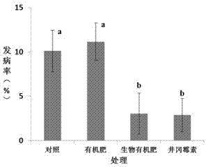 Biological prevention and control bacterial strain for preventing and controlling rice sheath blight, biological organic fertilizer, and preparation method of biological organic fertilizer