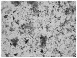 Sample density separation medium and cell separation method