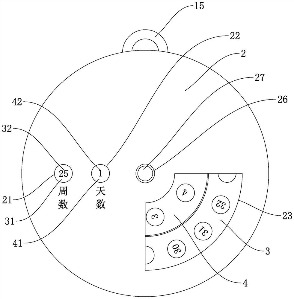 Premature infant gestational age indicating device