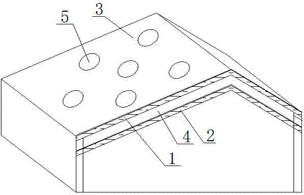 Double-layer plastic greenhouse