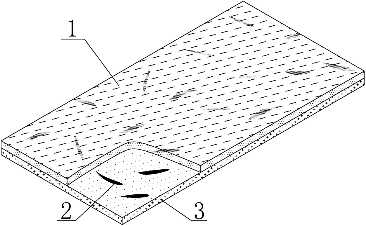 Spunlace non-woven material containing natural dry petals and preparation method thereof