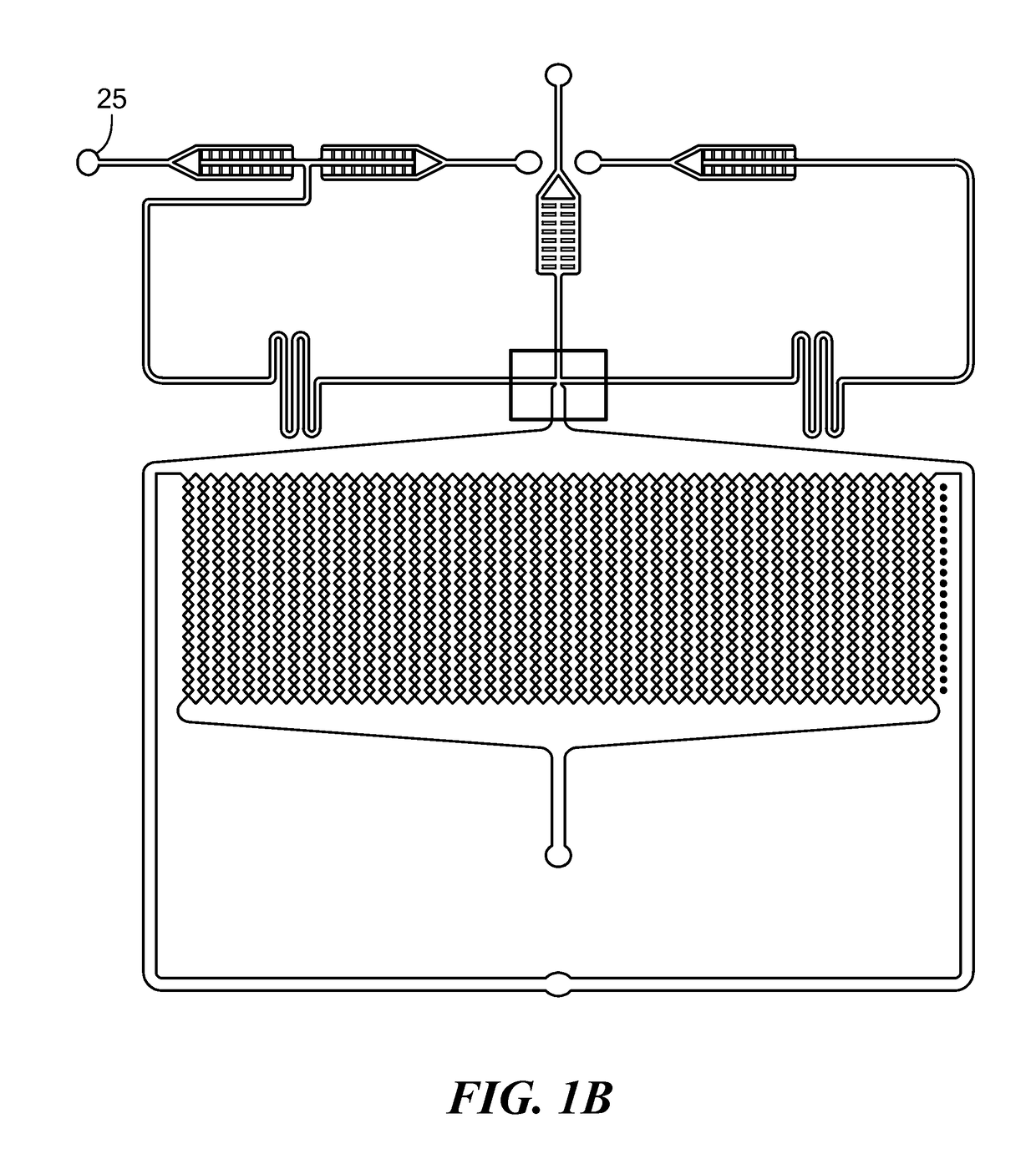 Microfluidic Device and Method for Analysis of Tumor Cell Microenvironments