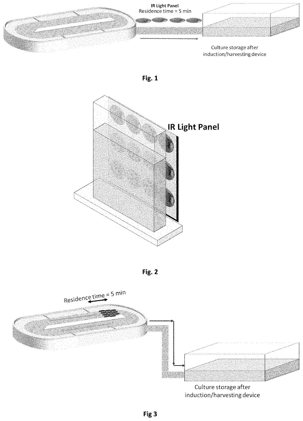 Method of enhancing lipid production in algae and applications thereof