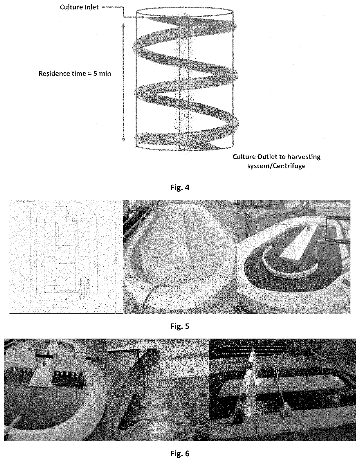 Method of enhancing lipid production in algae and applications thereof